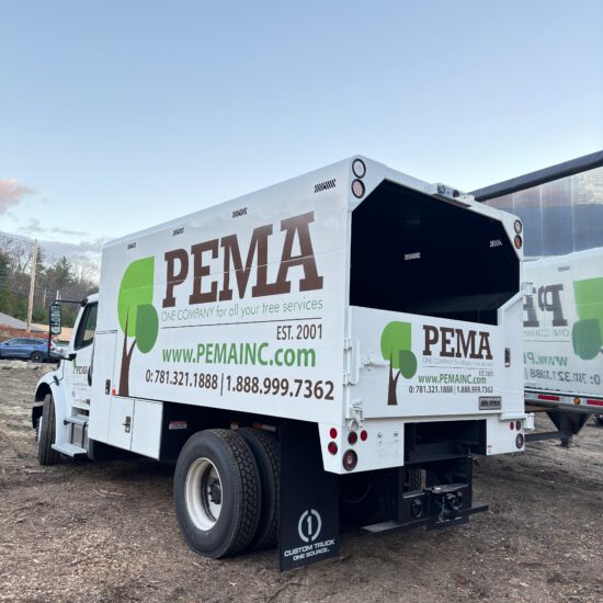 Tree Services MA