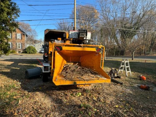 Affordable Stump Removal & Grinding