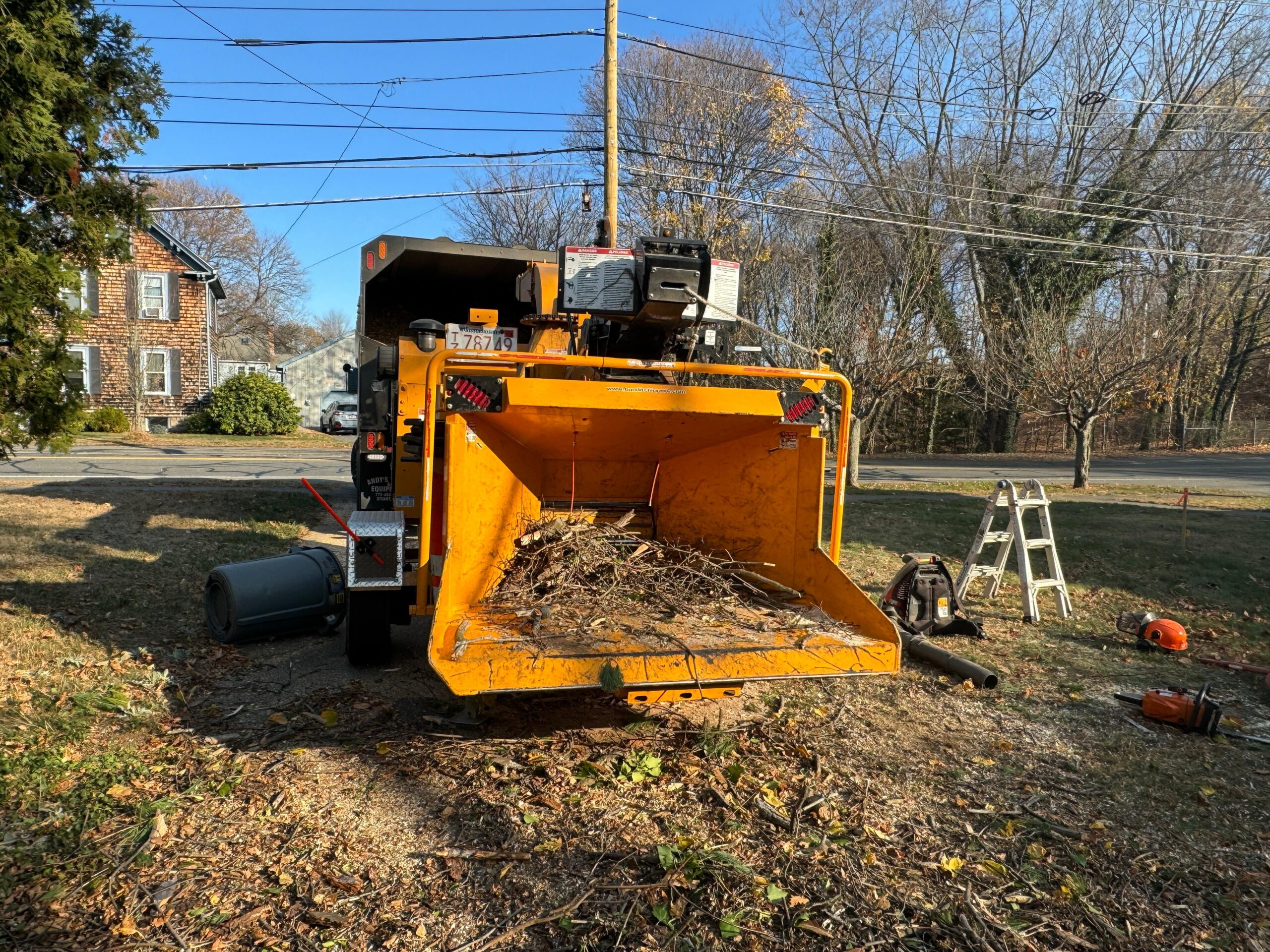 Affordable Stump Removal & Grinding