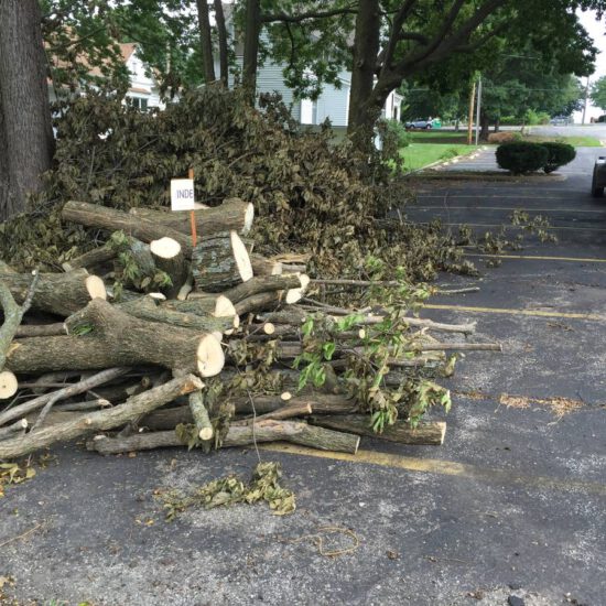 Land Clearing