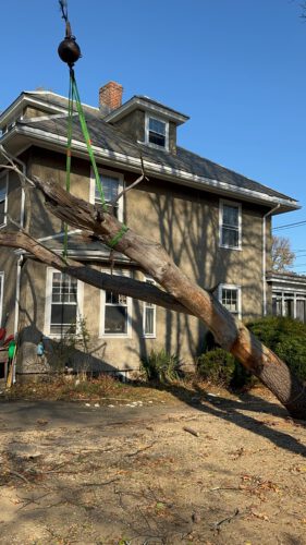 Storm Damage Cleanup