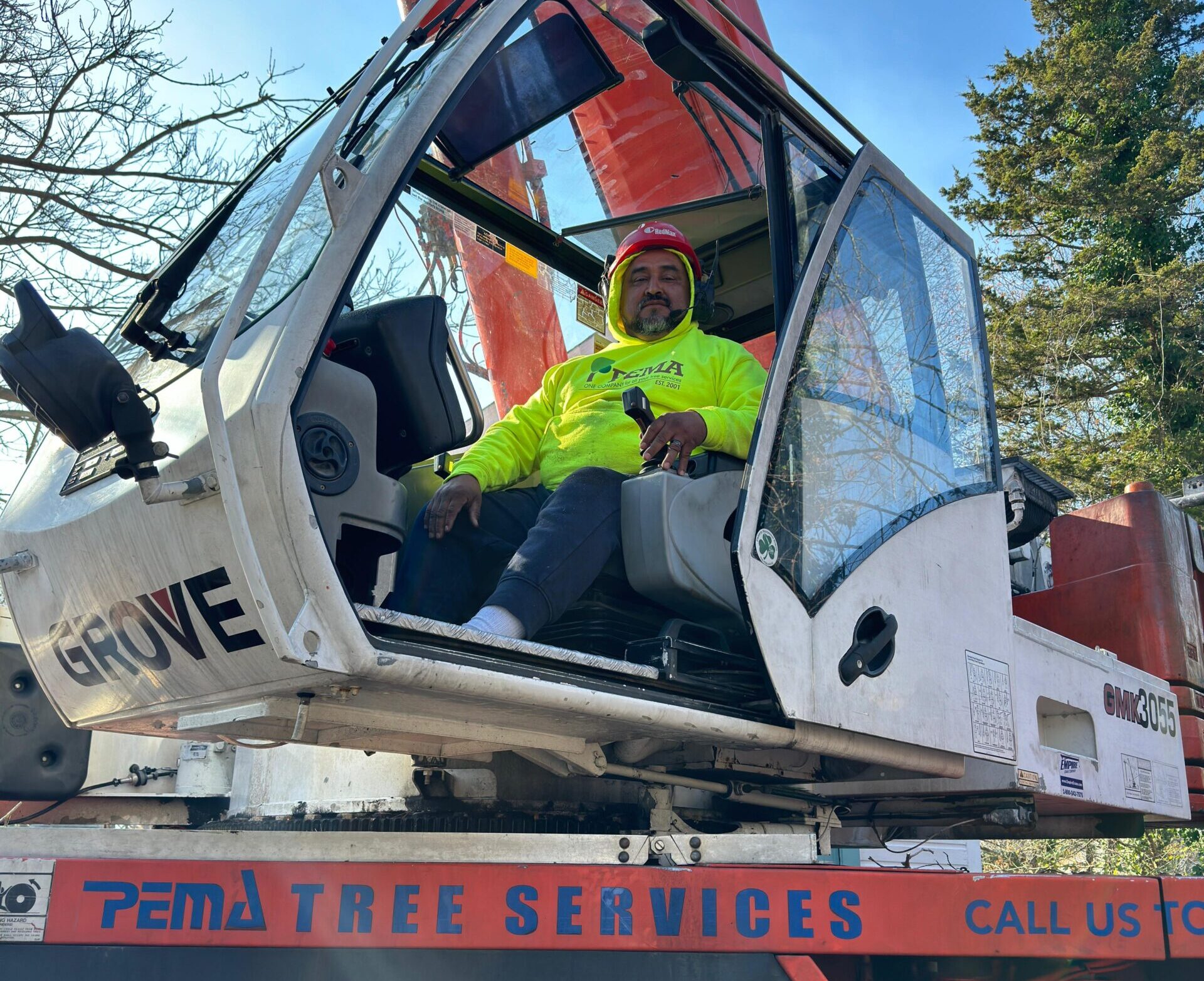 Tree Removal Services