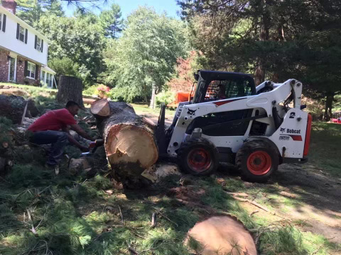 Land Clearing & Grinding Services